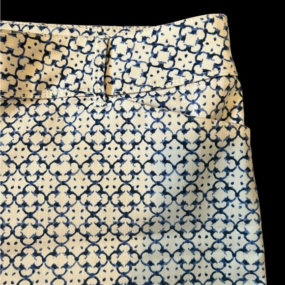 The Limited 2-Toned Blue & White Pattern Women’s  High Rise Shorts Size 14. - Picture 3 of 9